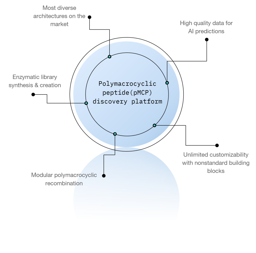 Poly-Macrocyclic-peptide